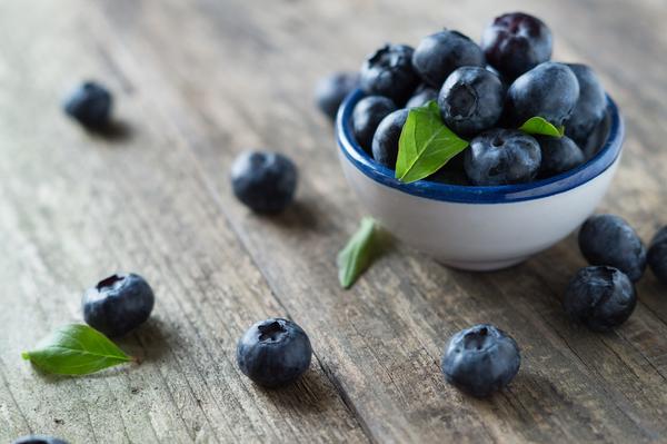 Can Cockatiels Eat Blueberries? Health Benefits Explained